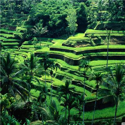 爱游戏APP·官方登录入口(ayx)截图